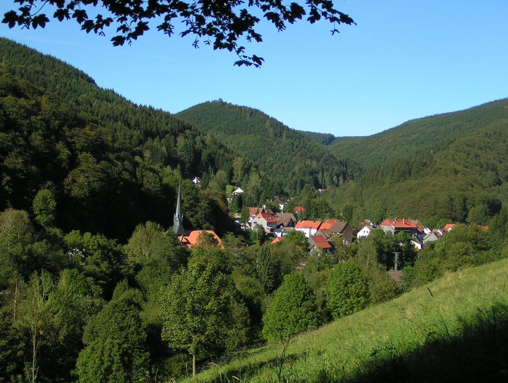 Harz Hotel Iris Sieber Exteriér fotografie