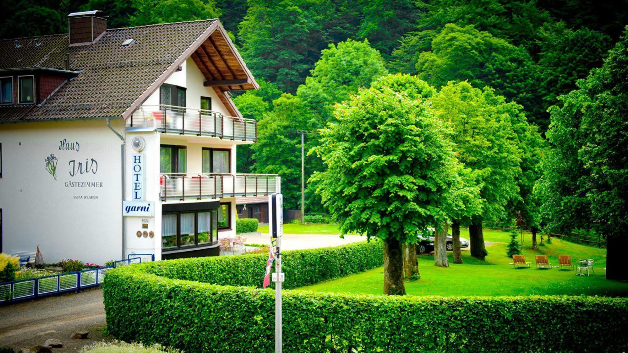 Harz Hotel Iris Sieber Exteriér fotografie